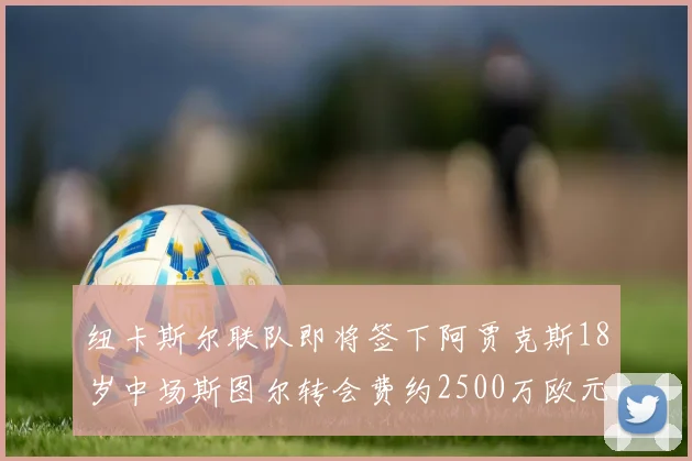 纽卡斯尔联队即将签下阿贾克斯18岁中场斯图尔转会费约2500万欧元
